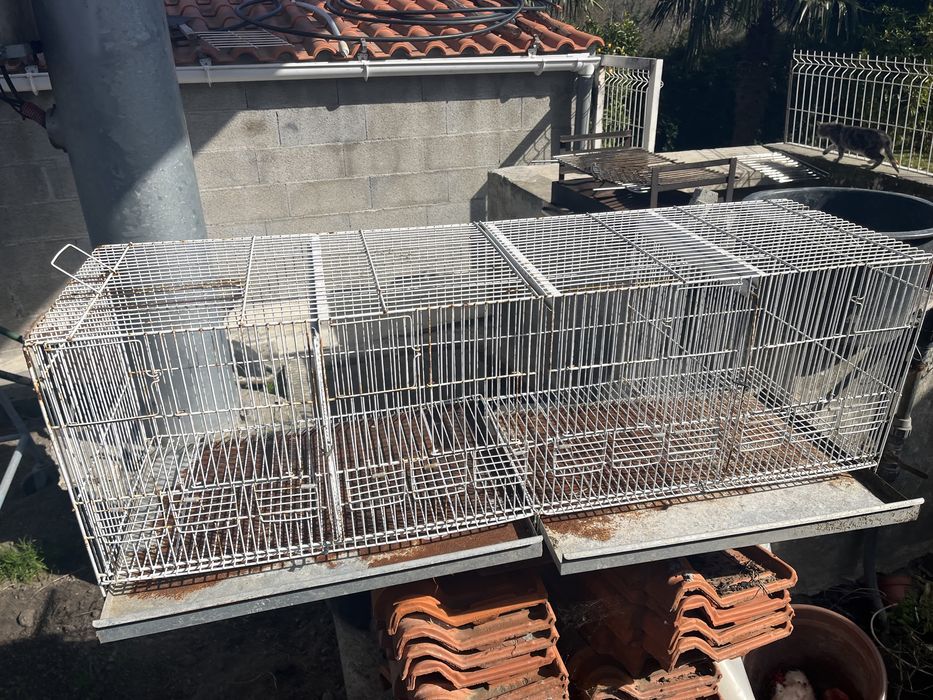 Viveiro grande para pássaros