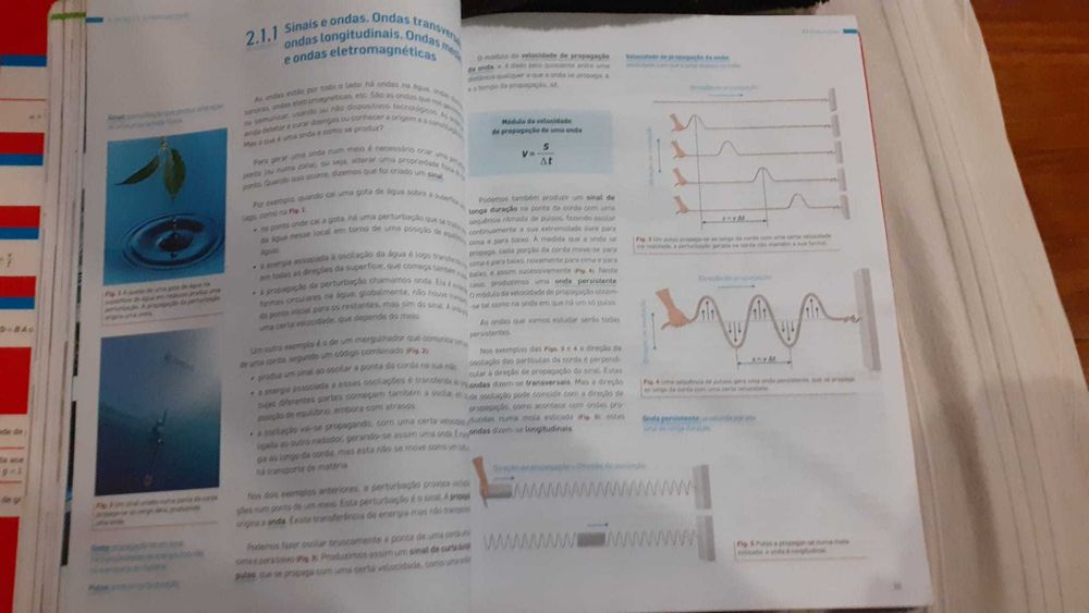 Manual e caderno de atividades Física 11º ano Texto