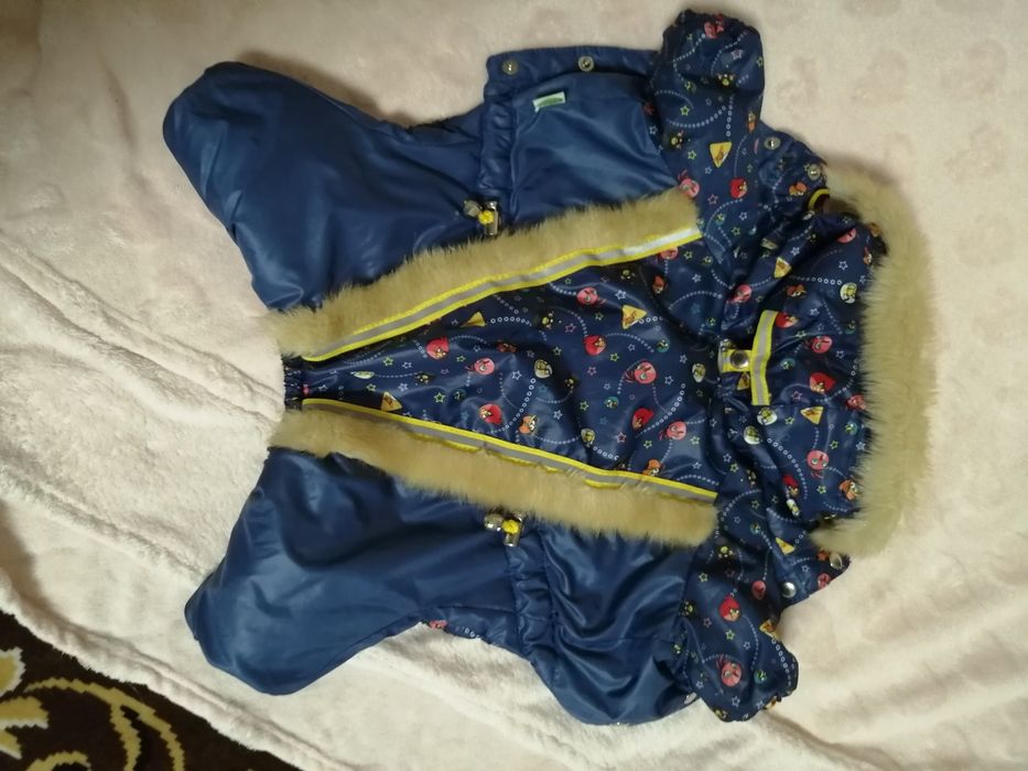 Комбінезон для собачки на вагу від 3-х до 3,5 кг