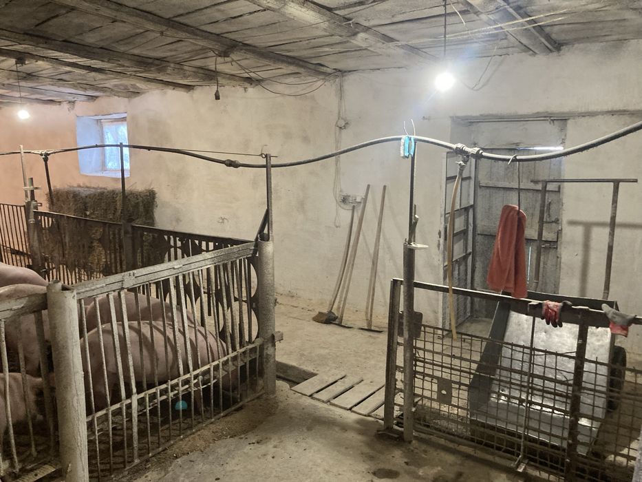 Бізнес ферма працююча