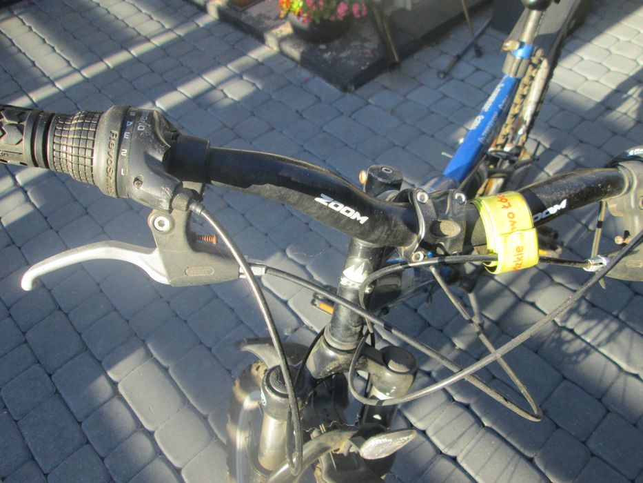 rower damski Caledonia
