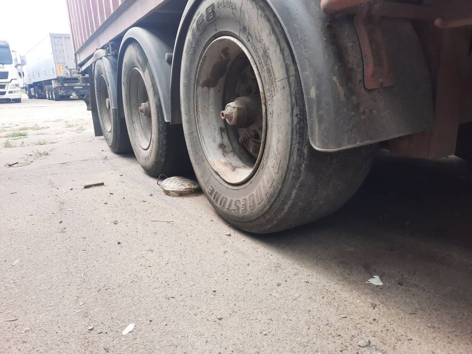 полуприцеп, контейнеровоз