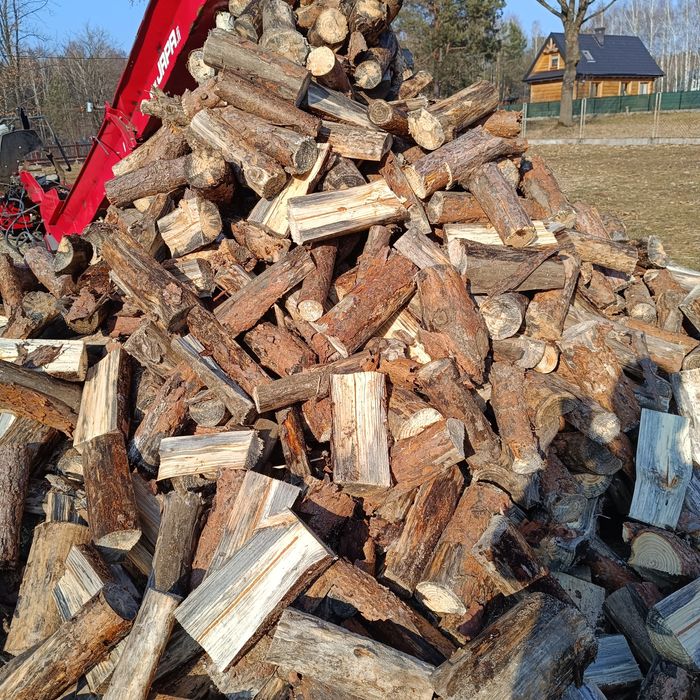 Brzoza sosna opałowa opał kominkowe