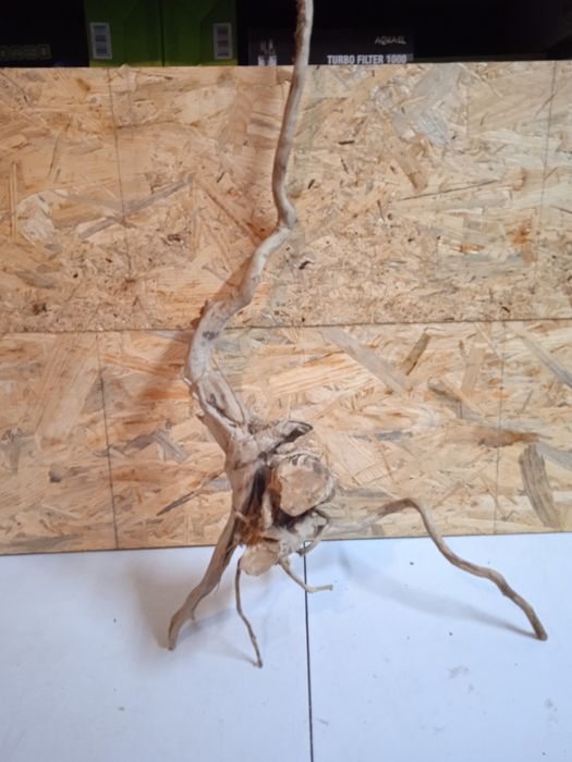 Korzeń do akwarium Red Moore Wood nr 63 o wymiarach 54/24/22