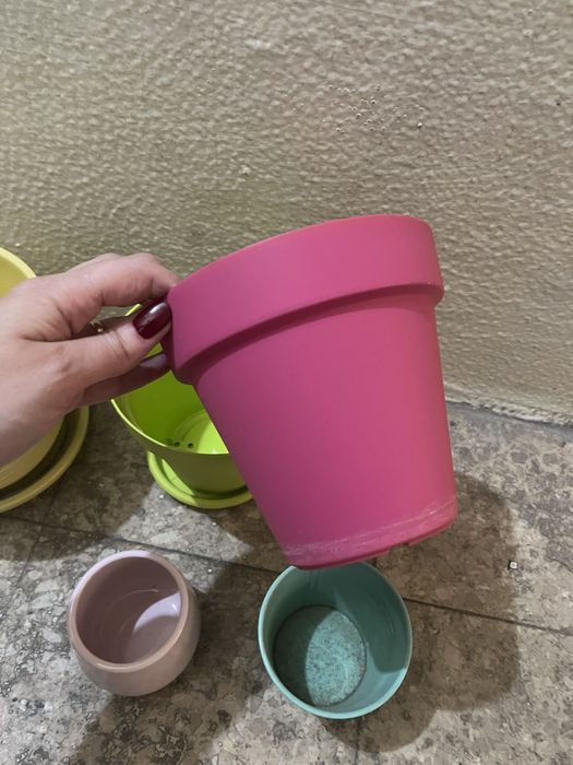 Vasos de plantas variados