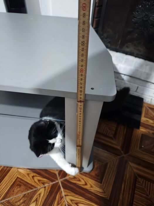 Raque de Tv com prateleira de vidro