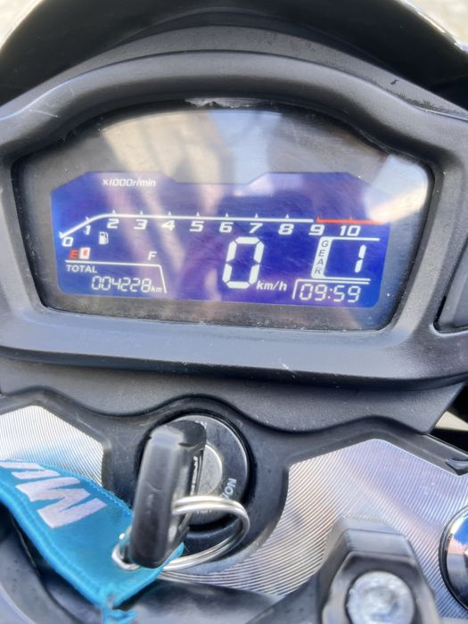 Мустанг регіон 250