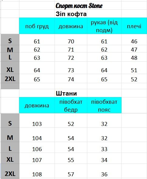 Чоловічий костюм stone island