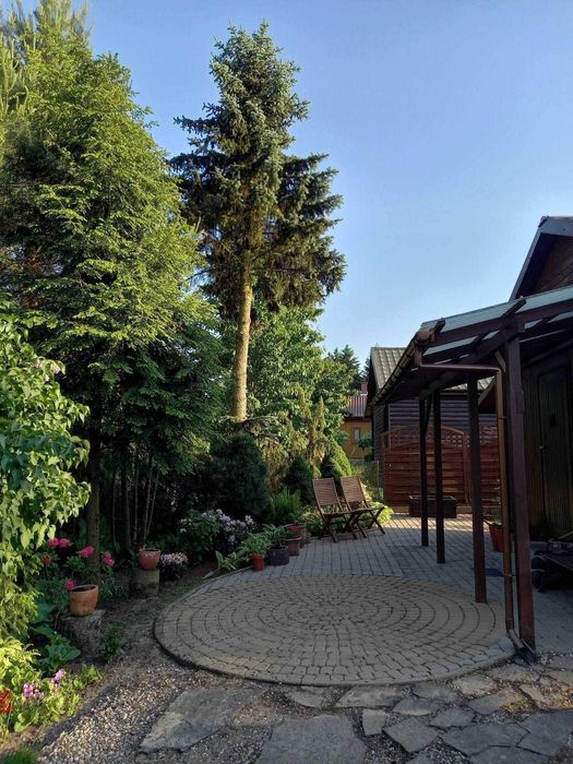 Działka ROD *Zalesiany* na sprzedaż, Niewodnica Kościelna, pow. 451 m2