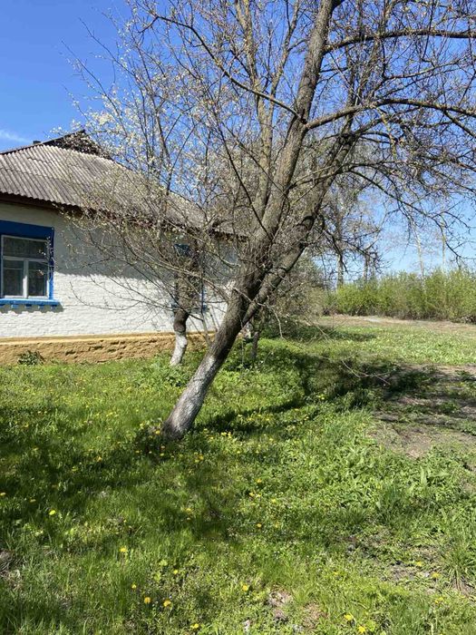 Продам будинок с.Любарці , Бориспільський район - View 2