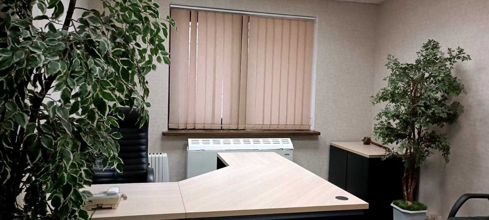 Комерційна нерухомість за адресою (площа 947 м²) - Atlanta.ua - фото 19