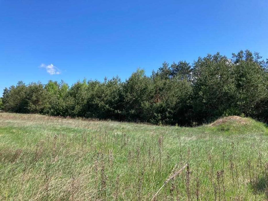 Działka rolna 3,24ha Ruda, gmina Korczew, Nadbużański Park Krajobrazowy - Widok 2