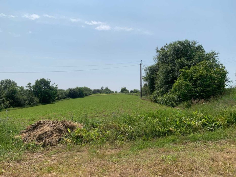 Продам будинок с.Велика Вільшанка