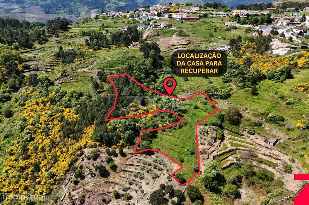 Terreno de 4437m2 com ruína, Santa Marta de Penaguião, Douro