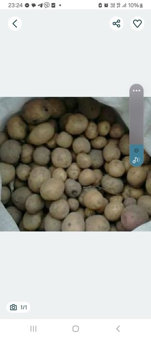 Продам картоплю для корму