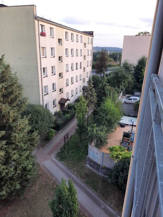 Zdjęcie 8