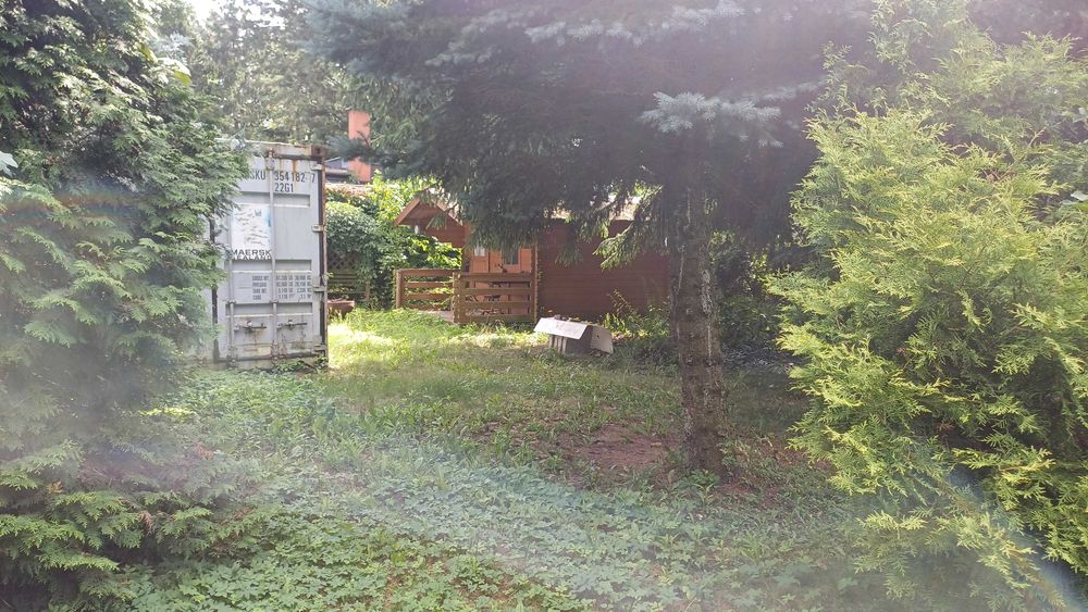 Zdjęcie 7