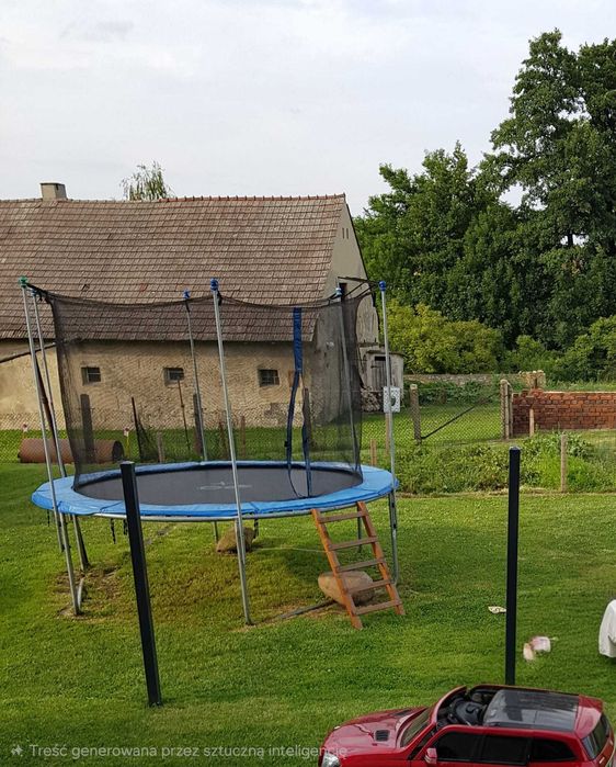 Trampolina ogrodowa 3 m