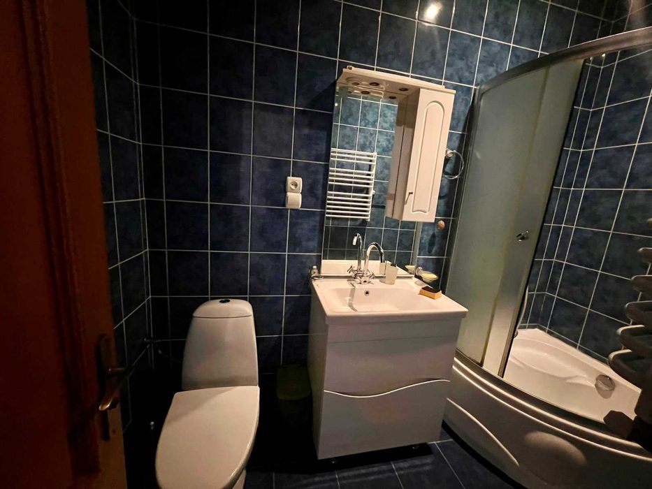 Оренда просторого окремостоячого будинку по вул. Сигнівка