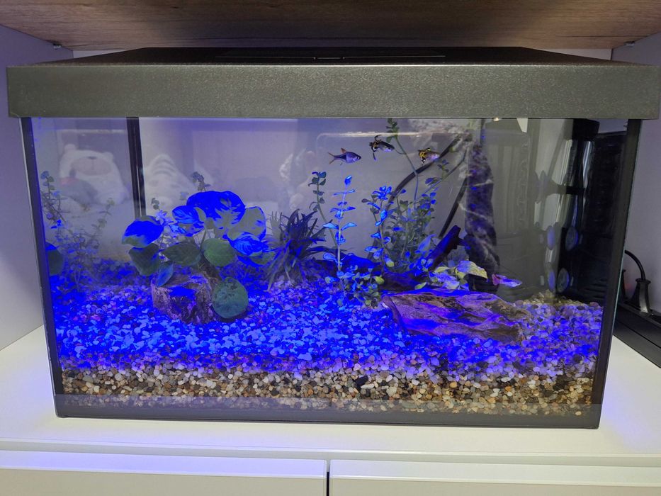 Akwarium Aquael Zestaw Leddy Set 40 25L Czarny z wyposazeniem