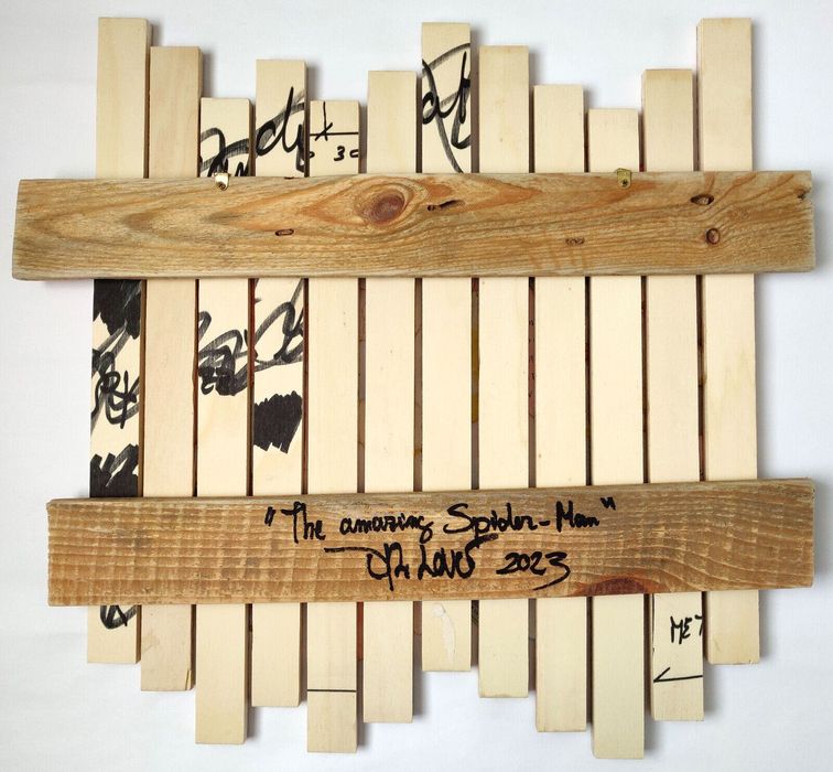 The amazing Spider - man