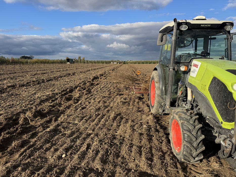 Sadzenie drzewek gps rtk 1cm sadzenie drzew i krzewow