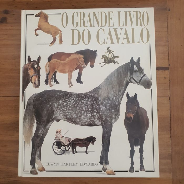 Material Equestre Diverso
