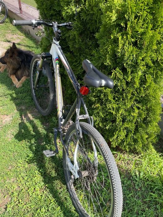 Rower górski mtb