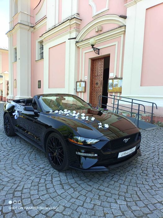 Auto do Ślubu wynajem