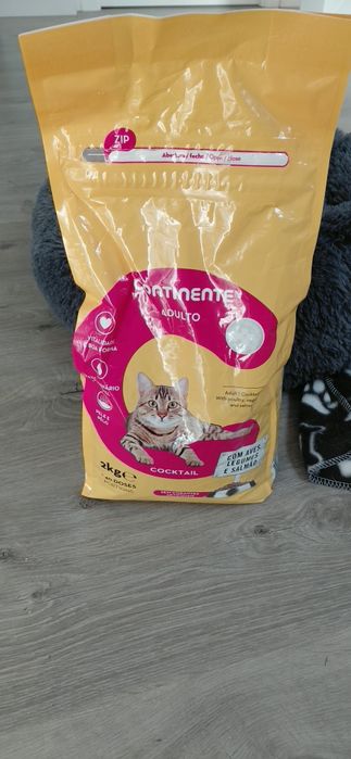 Cama para gato puff mais manta briquedo e ccbertor e comida