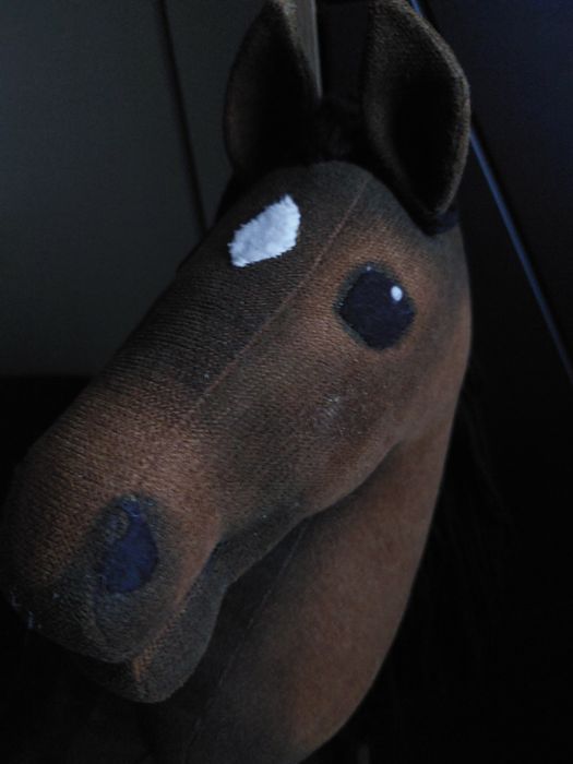 Hobby horse A3 piękny