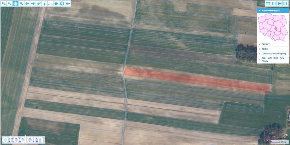 Kompleks działek 1,89 ha — Czerwonka Stara, Żelechlinek