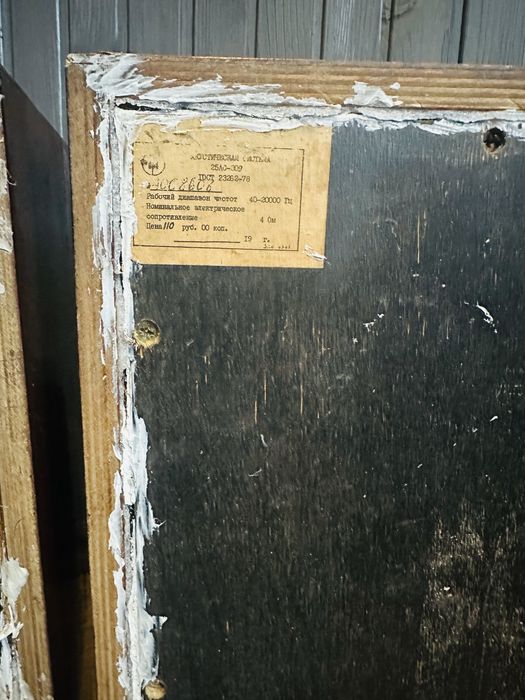 25 АС-309 акустична система