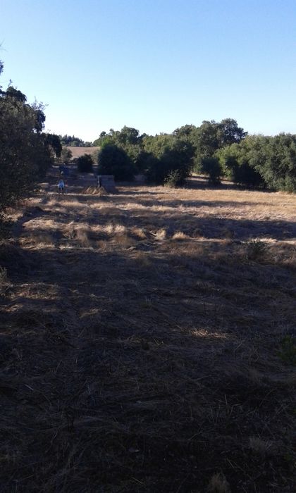 Terreno 7,800 m2  em Azambuja 60.000 €