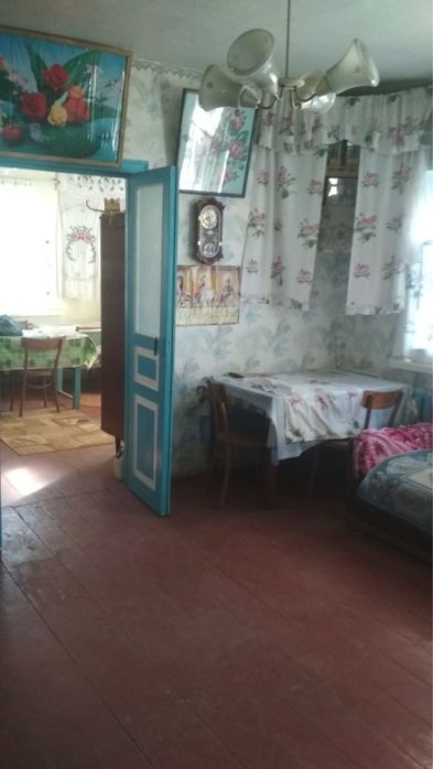 Продається будинок з великою ділянкою в мальовничому селі Чернігівщини