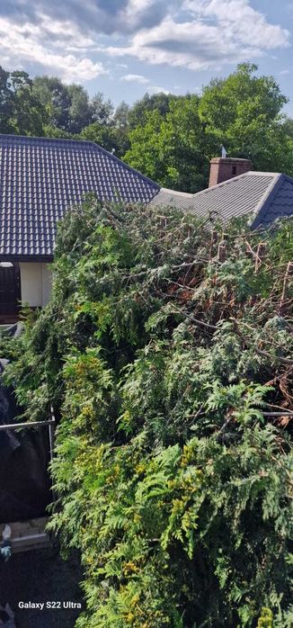 Wycinka drzew krzewów i inne prace ogrodowe, remonty, prace ziemne.