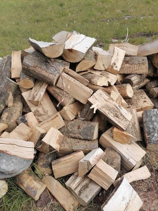 drewno drzewo kominkowe buk, dąb