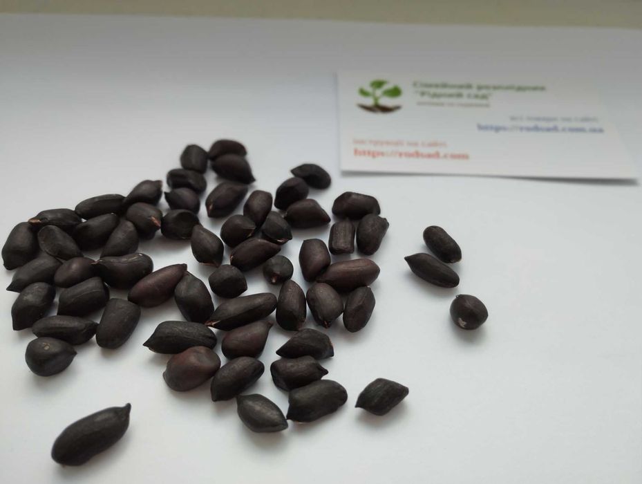 Арахіс насіння 6 сортів горіх арахис семена для вирощування в Україні