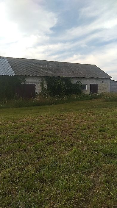 Gospodarstwo rolne 9 ha