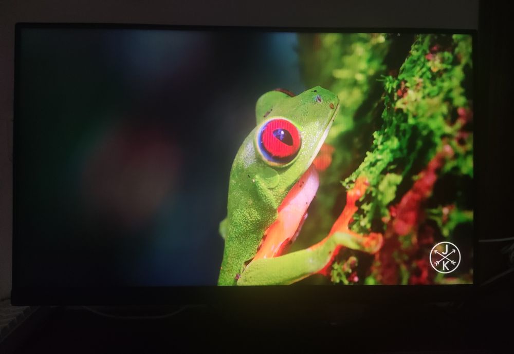 Monitor ViewSonic XG2431 240Hz 24"