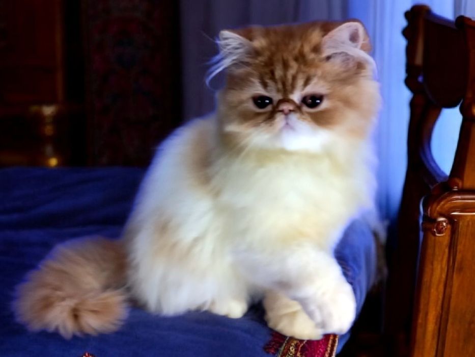 Очень нежная девочка