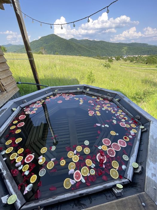 “Freedom” house. Free.dom.23. Котедж в Закарпатті