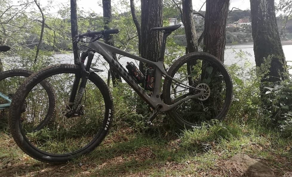 Ghost Lector 29 2020