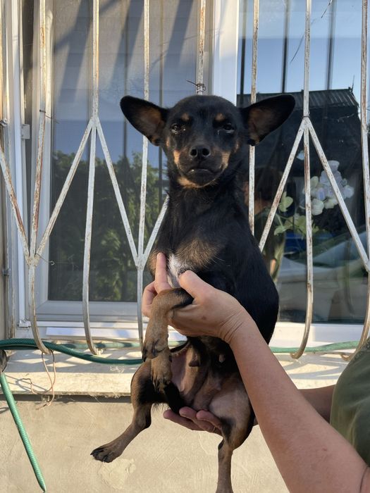 Выкинули в поле с детьми