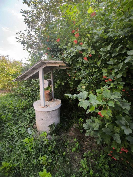 40055 Дачний будинок є всі документи є газ електрика поруч зупинка