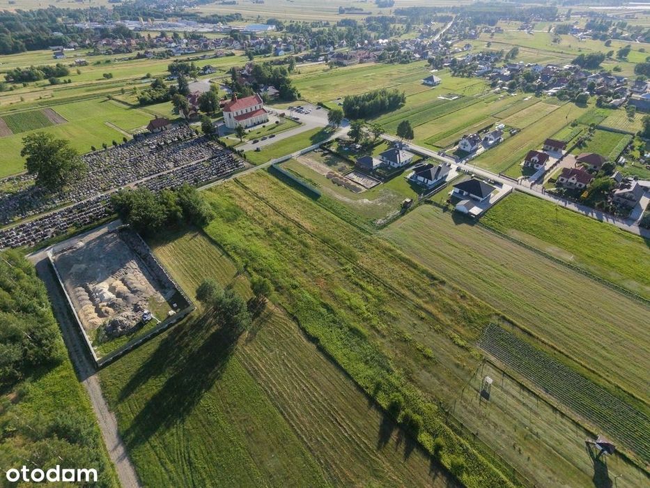 Działka 31 arów + Warunki Zabudowy - Trzeboś - Widok 6