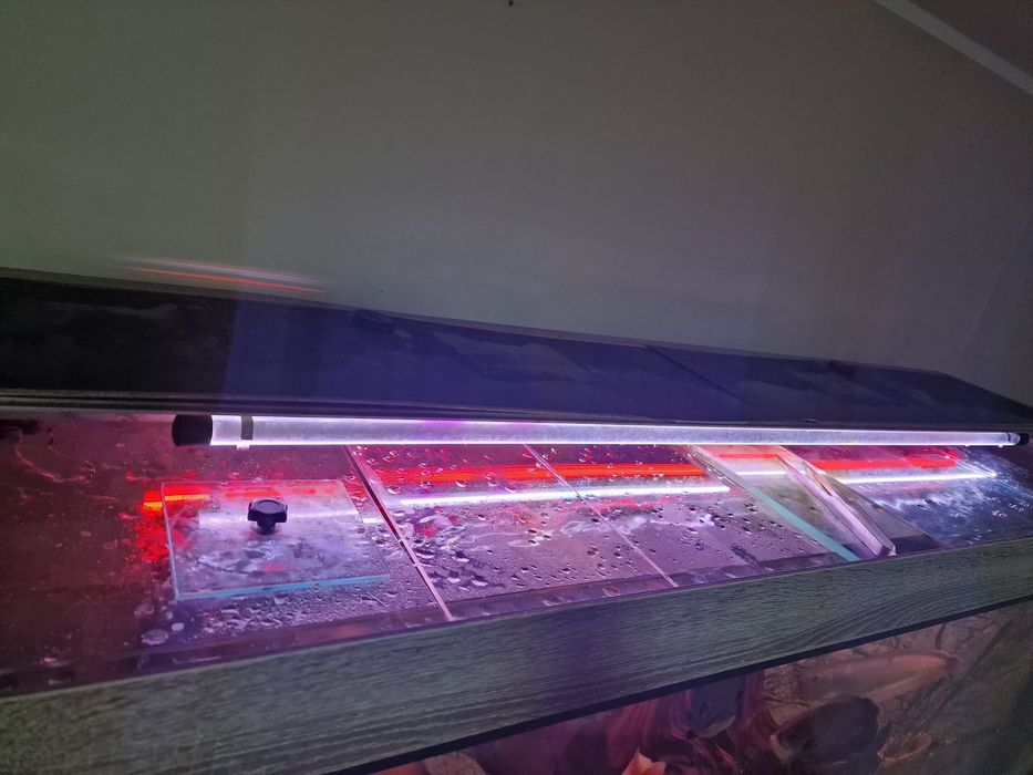 Akwarium ze stelażem 720l