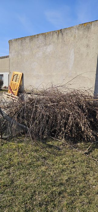 Oddam opał za darmo