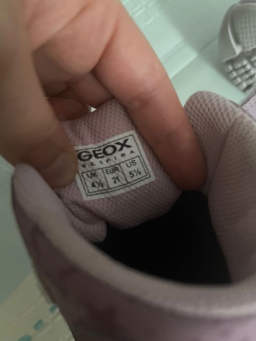 Чоботи/ботинки Geox