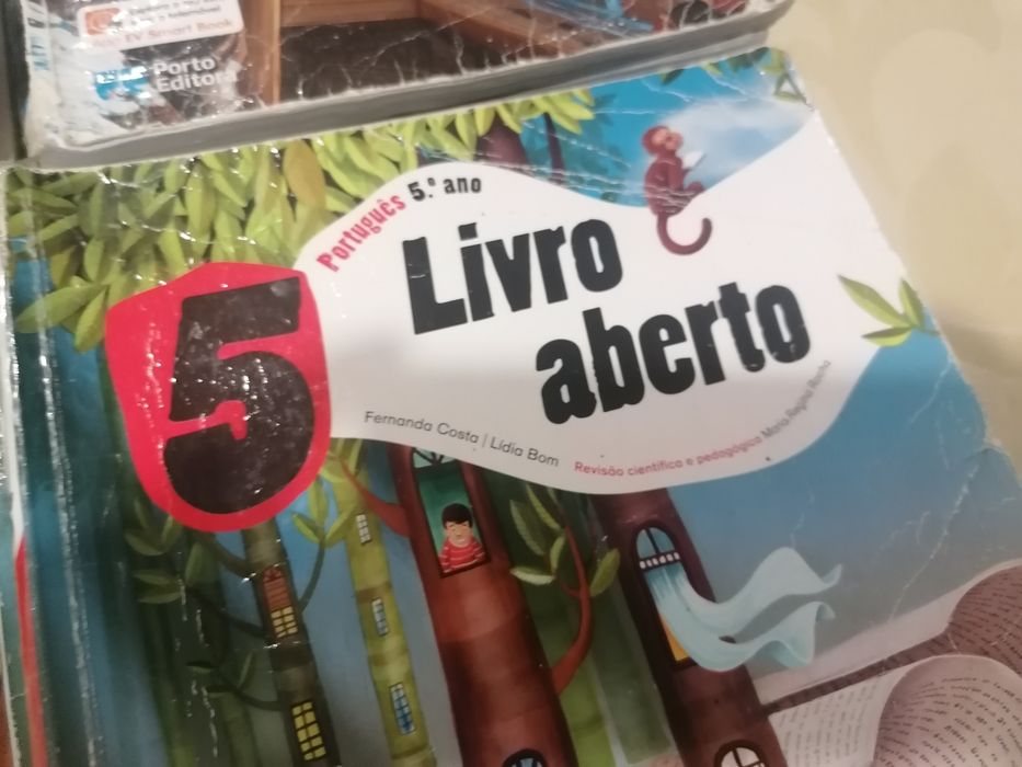Manuais escolares do 5 ano